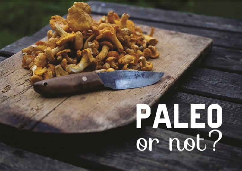 Paleo or not?